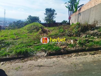 Lote / Terreno com 0 quartos em São Damião