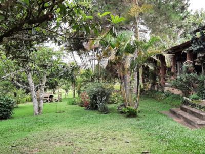 Chácara com 4 quartos em Quinta dos Lagos
