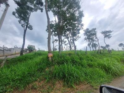 Lote / Terreno com 0 quartos em Chácaras Reunidas Igarapés
