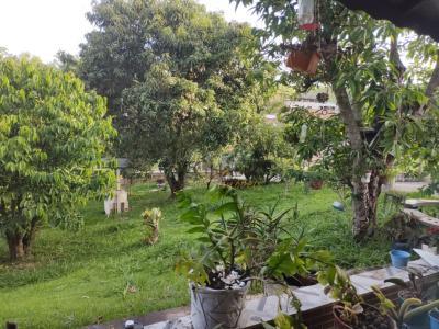 Casa com 1 quartos em Jardim Colônia