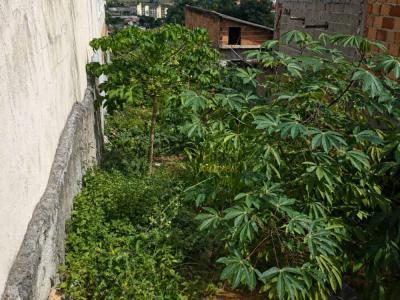 Lote / Terreno com 0 quartos em Bandeira Branca